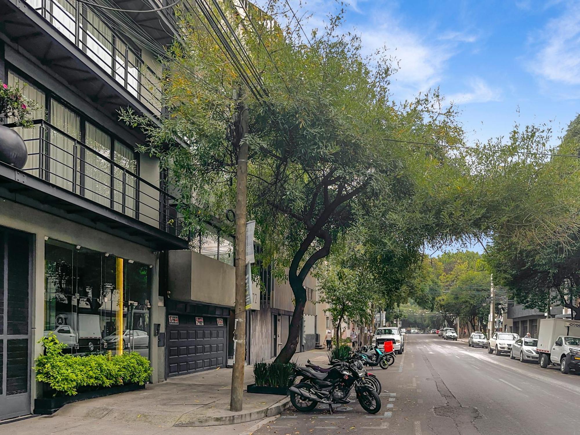 Armonik Suites By Casanevo México DF Exterior foto